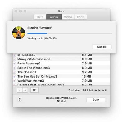 Can You Burn CDs from Apple Music: A Detailed Discussion