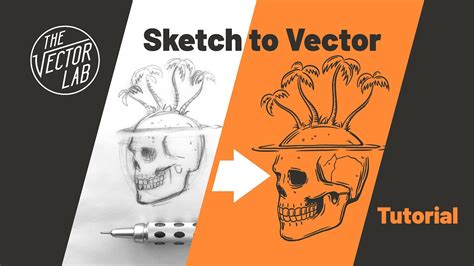 how to turn hand drawing into vector art in illustrator: exploring the art of digital transformation